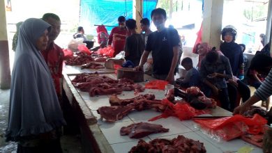 Photo of Sehari Jelang Idul Adha 1438 Hijriah, Daging Sapi 120 Ribu Rupiah Per kilogram