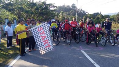 Photo of Pemda dan Kodim 1307 Canangkan Penanaman Sejuta Pohon Ebony