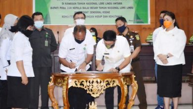 Photo of Jalan dan Jembatan Penghubung Doda-Lelio Akan Satukan Lore