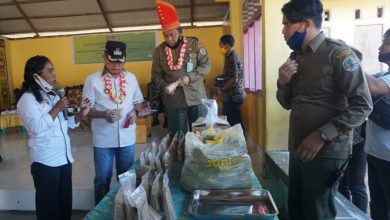 Photo of Peringati Hari Konservasi Sumber Daya Alam, Bupati Ajak Warga Peduli Keseimbangan Alam
