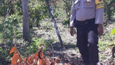 Photo of Babinkamtibmas Pantangolemba Terus Lakukan Pendekatan Kepada Masyarakat