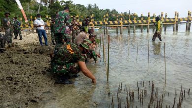 Photo of Kodim 1307 Poso Dorong Pelestarian Hutan Mangrov