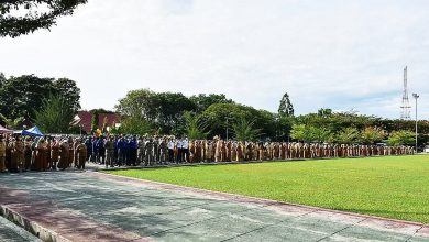 Photo of 𝗔𝗽𝗲𝗹 𝗕𝗲𝗿𝘀𝗮𝗺𝗮 𝗦𝗲𝘁𝗲𝗹𝗮𝗵 𝗖𝘂𝘁𝗶 𝗛𝗮𝗿𝗶 𝗥𝗮𝘆𝗮