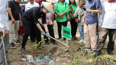 Photo of Bupati Berkomitmen Terus Mengembangkan Potensi Pertanian