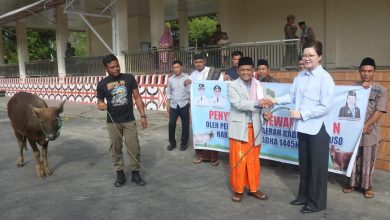 Photo of Bupati Serahkan Hewan Kurban Sapi Dan Kambing