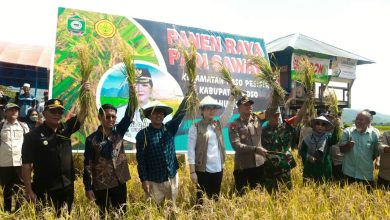Photo of Bupati Apresiasi Kerja Keras Petani Sawah